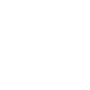anpacin logo branca.png