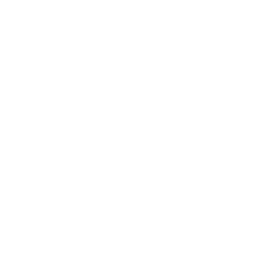 anpacin logo branca.png